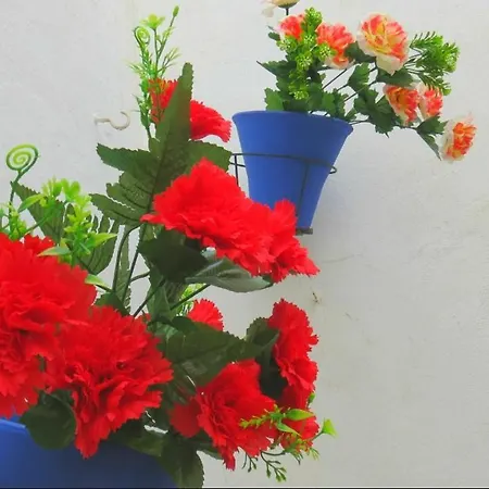 Apartamento Casa Mozarabe Córdoba Buitenkant foto
